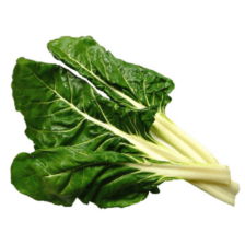 ACELGA