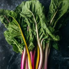 ACELGA DE COLORES