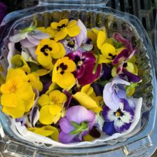 FLOR COMESTIBLES