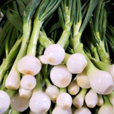 CEBOLLA CAMBRAY  CON RABO