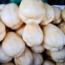 CHAYOTE BLANCO