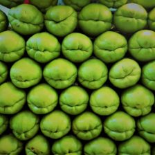 CHAYOTE SIN ESPINAS