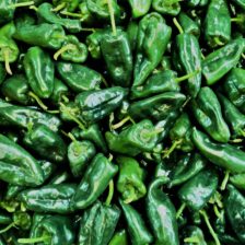 CHILE POBLANO P/RAJAS