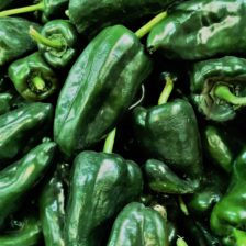 CHILE POBLANO PARA RELLENAR