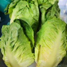 CORAZON DE LECHUGA
