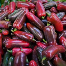 CHILE CUARESMENO ROJO