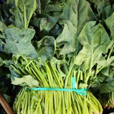 ESPINACA