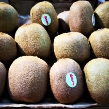 KIWI