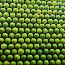 LIMON CON SEMILLA