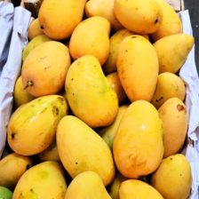 MANGO ATAULFO