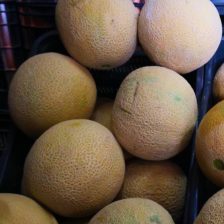 MELON CHINO