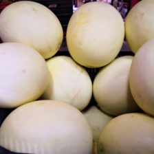 MELON VALENCIANO