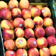 NECTARINA