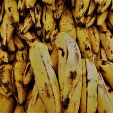 PLATANO MACHO AMARILLO
