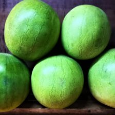 SANDIA PERSONAL