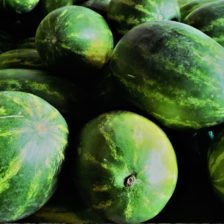 SANDIA CON SEMILLA