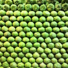 TOMATE VERDE C/ CASCARA