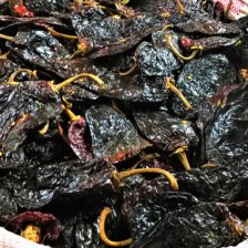 CHILE ANCHO