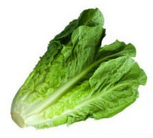 LECHUGA OREJONA