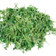 ALFALFA
