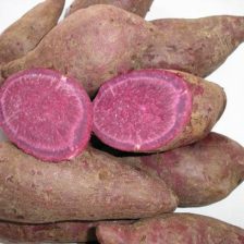 CAMOTE MORADO