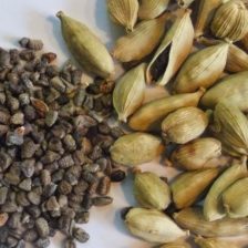 CARDAMOMO