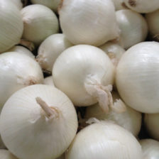 CEBOLLA BLANCA