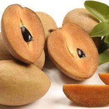 CHICOZAPOTE