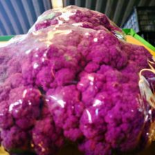COLIFLOR MORADA