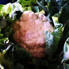 COLIFLOR
