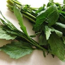 EPAZOTE