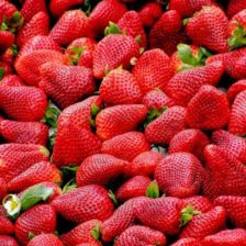 FRESA