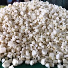 GRANO DE ELOTE