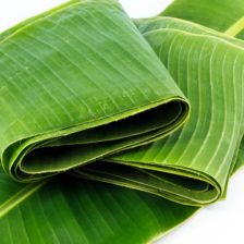 HOJA DE PLATANO