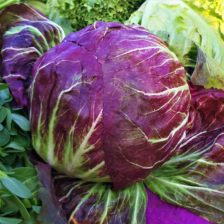 LECHUGA RADICCHIO