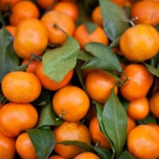 MANDARINA