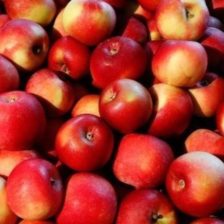 MANZANA ECONOMICA