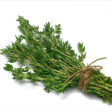 OREGANO FRESCO
