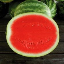 SANDIA SIN SEMILLA