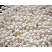 TAPIOCA