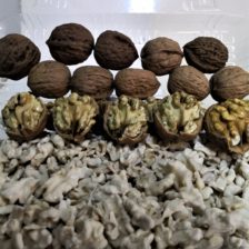 Nuez de Castilla Limpia
