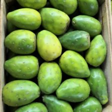 Tuna Verde