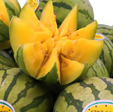 SANDIA AMARILLA